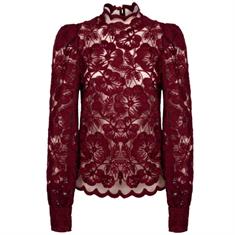 Aaiko Muze pes 566 Bordeaux