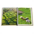 Assouline Bali mystique Diverse kleuren