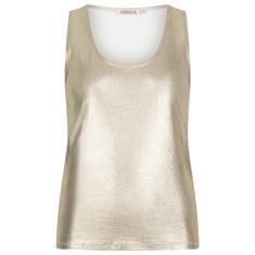 Esqualo Hs25.30220 Goud