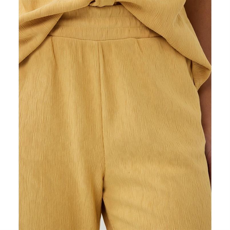 Esqualo Sp25.30017 Geel