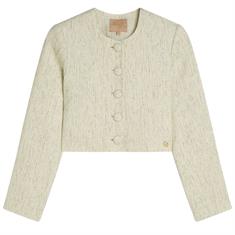 Josh V Jv-2503-0303 Creme