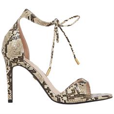 Josh V Jv-2503-1208 Snake