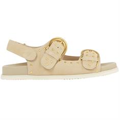 Josh V Jv-2503-1210 Beige