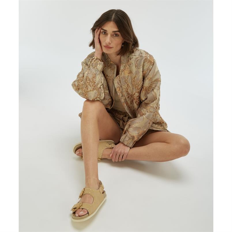 Josh V Jv-2503-1210 Beige