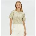 Josh V Jv-2506-0109 Taupe