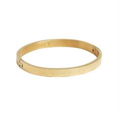 Josh V Jv-5000-1919 Goud
