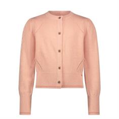 Nono 252 Zalm