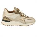 Piedi Nudi Leopard Leopard