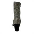 Roberto d&#39;Angelo Glitter planet 154 argento Zilver