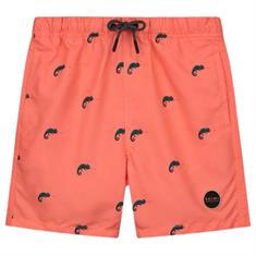 Shiwi Boys 208 Oranje