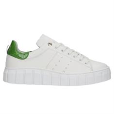 Tango 200 white/green Wit