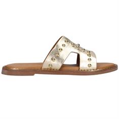 Tango Audrey 31-b Goud