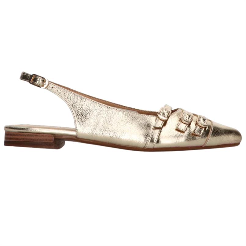 Tango Duna 4-b Goud