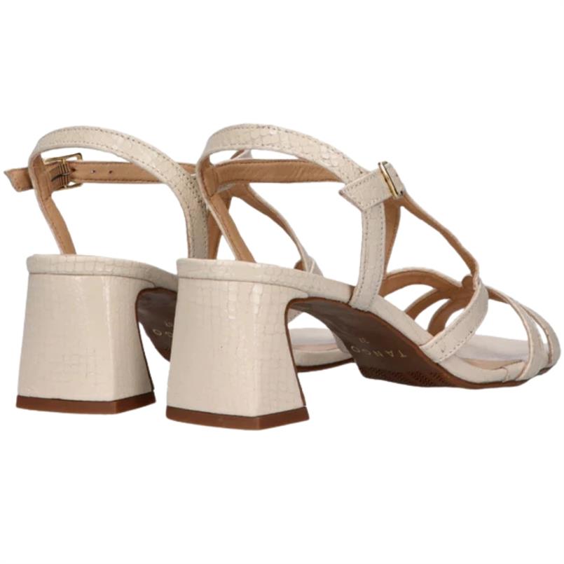 Tango Katya 6-f Transparant