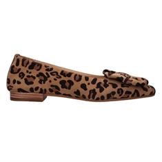 Tango Multicolor 7000 Panter