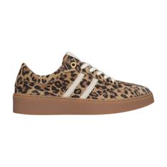 Tango Multicolor 7000 Panter