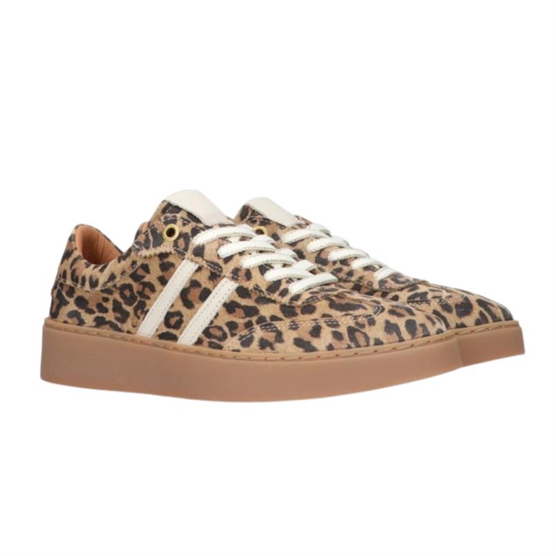 Tango Multicolor 7000 Panter