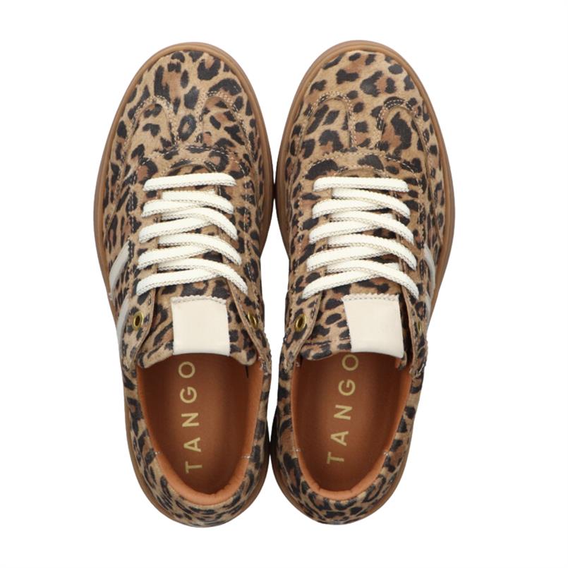 Tango Multicolor 7000 Panter