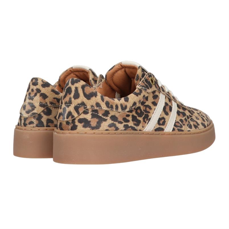 Tango Multicolor 7000 Panter