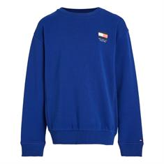 Tommy Hilfiger Boys C9b Blauw