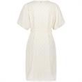 Tramontana Checked embroidery dress Transparant