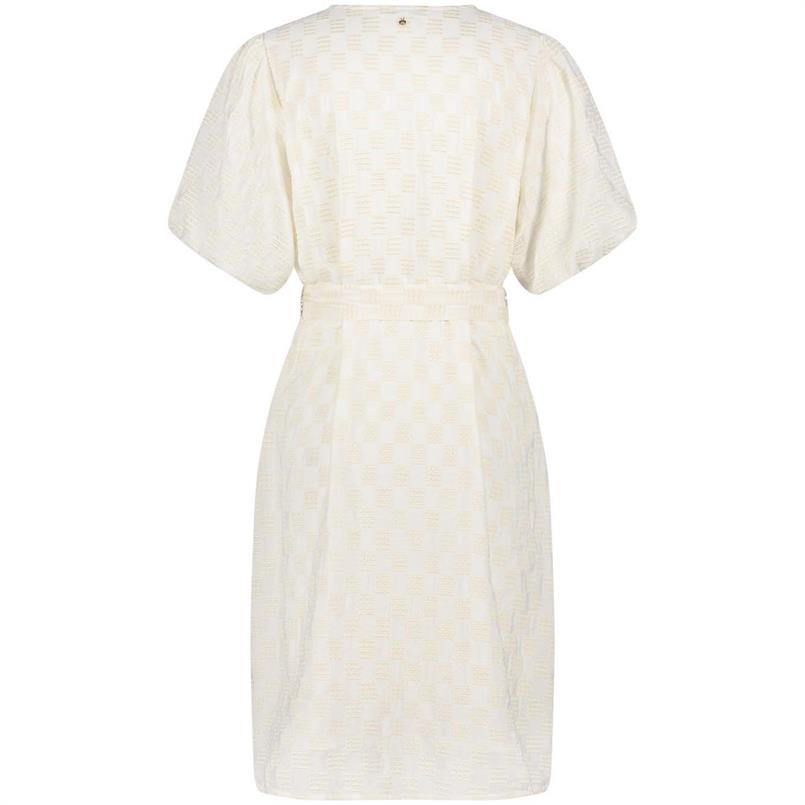 Tramontana Checked embroidery dress Transparant