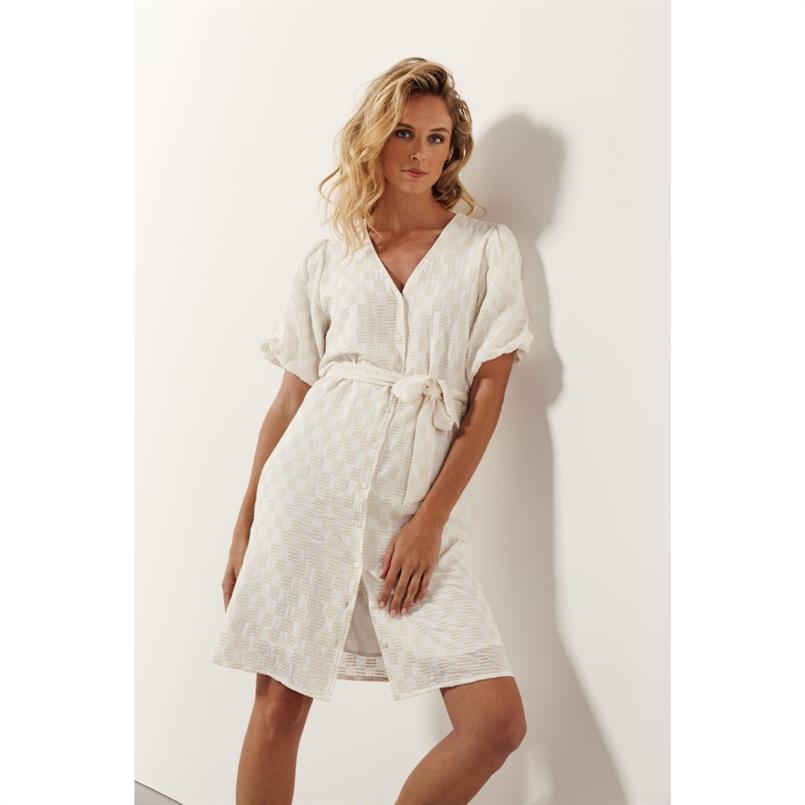 Tramontana Checked embroidery dress Transparant