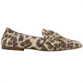 Via Vai 62040 Leopard