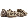 Via Vai 62040 Leopard