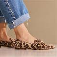 Via Vai 62040 Leopard