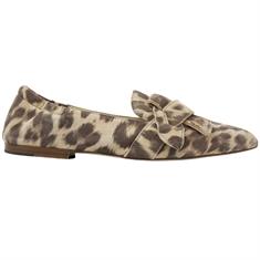 Via Vai 62040 Leopard