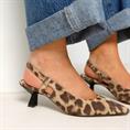 Via Vai 62041 Leopard
